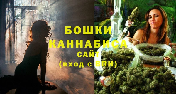 дживик Нягань