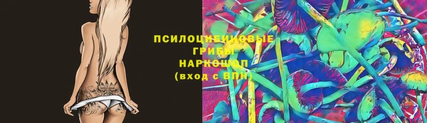 индика Гусь-Хрустальный