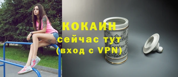 молекула духа Няндома