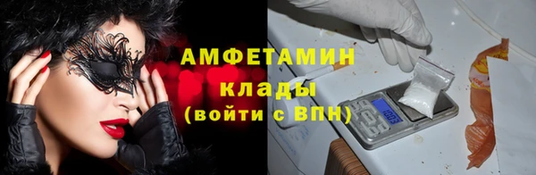 молекула духа Няндома