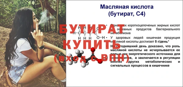 молекула духа Няндома