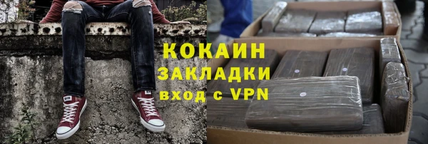 молекула духа Няндома