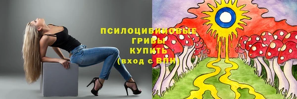 a pvp Новокубанск
