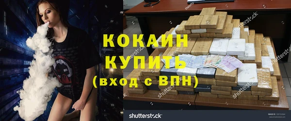 молекула духа Няндома