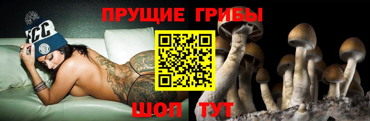 хочу наркоту  Вход с VPN  Галлюциногенные грибы Psilocybe  Людиново  Галлюциногенные грибы мухоморы 